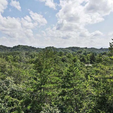 Pet-Friendly Smoky Mountain Retreat With Game Room! Sevierville Luaran gambar